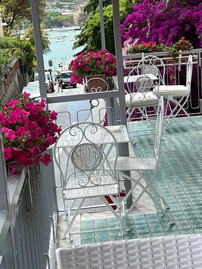 Torre D'avorio: Renovated With Terrace Near Center *
